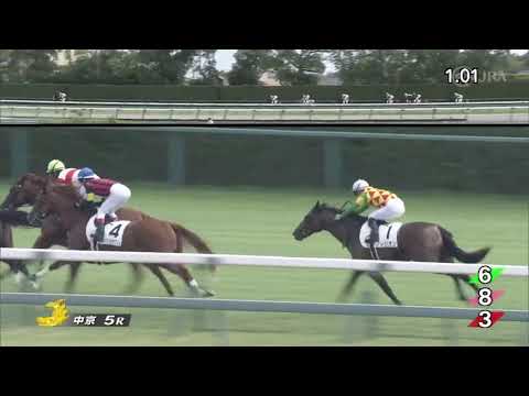 2022/09/25　バロッサヴァレー　新馬戦