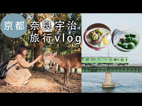 【京都】小鹿 抹茶 嵐電｜奈良餵小鹿體驗｜宇治中村藤吉抹茶｜嵐山又下雨