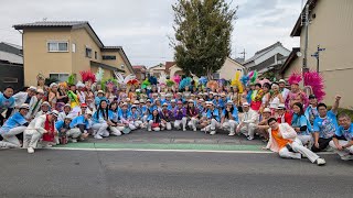 深谷産業祭サンバパレード　ブロコ・ファミリア　前半　2024 11 10