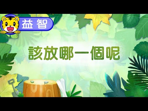 巧虎生活益智學習04【該放哪一個呢】