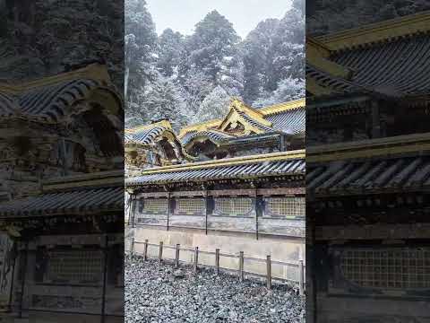 Snowy Day #travel #japan #nikko #snowday #shorts #youtubeshorts #highlights #adventure #vlog