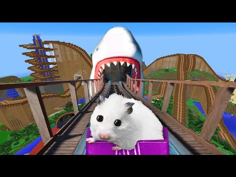 Hamster on Crazy Roller Coaster 🐹 Hamster Escapes in Real Life!