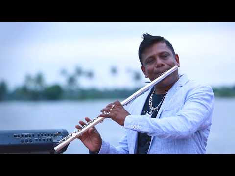 O - Butterfly Butterfly | Flute Cover | Ilayaraja | Josy Alappuzha | Madhu Paul