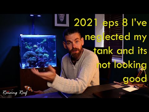 2021 ep8 down to one tank