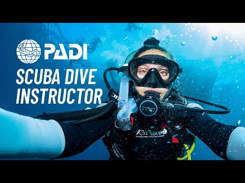 Interested in PADI Scuba Dive Instructor Training?