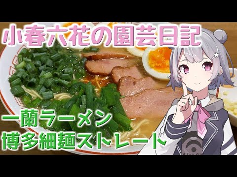 【料理】小春六花の園芸日記#4～一蘭ラーメン博多細麺ストレートの自家野菜のせ～【Cevio AI実況】