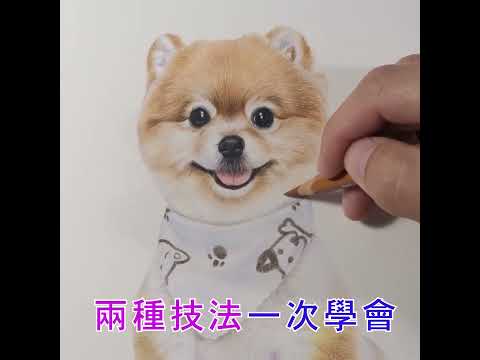 一堂課學會素描 x 色鉛筆 x 畫動物 x 拍動物  #shorts #pets #毛小孩 #狗 #貓 #色鉛筆 #素描 #線上課程