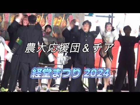 気合いの硬派男子応援団にキュートなチア♪農大名物大根踊りも！～経堂まつり 2024