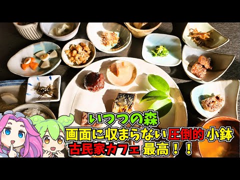 [古民家カフェ]圧倒的な小鉢の数を楽しめます！いつつの森でゆったりオシャレランチ！[ずんだもん]