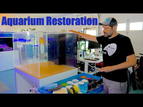 Aquarium Restoration: Removing Scratches in Old Tanks