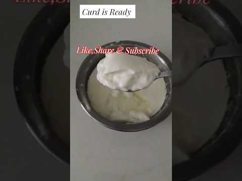 Easy Method to make curd#ytshorts #recipe #zaiqamaimoonaka