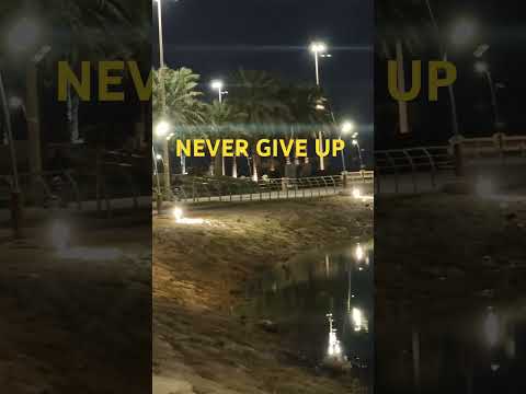 NEVER GIVE UP #stay #strong #brave #blessed #always #lifemotivation #nevergiveup #viral #video #pk