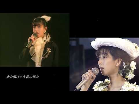 岡村孝子 - 夏日午後 中日字幕 1987 、1990 Live