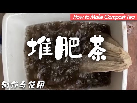 黄金液肥 “堆肥茶”“compost tea”滋养作物、壮大有益微生物菌群，从根部上来改良各种土壤