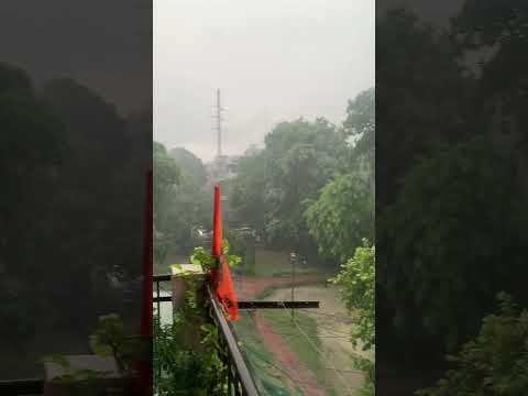 Heavy Rain in Delhi 20 Aug 2024 #asmr #asmrsounds #asmrrain #storybyrakesh