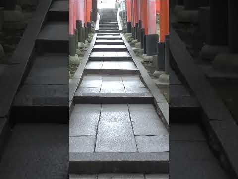 京都・伏見稲荷大社を歩く[26](2012年・手振れ注意) #shorts #kyoto #Japan