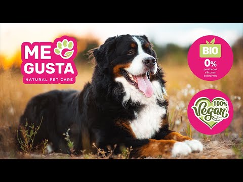 ME GUSTA Natural Pet Care | Productos veganos y BIO para mascotas | 100'% NATURALES 💚