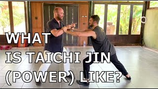 What is Taichi Jin Power Really Like? Sifu Adam Mizner DEMONSTRATES!