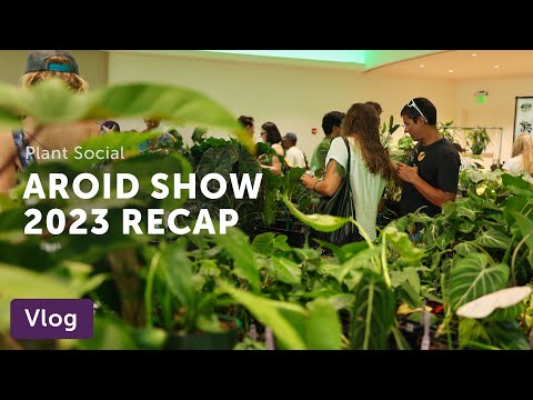 International AROID Show 2023 Recap — Vlog 057