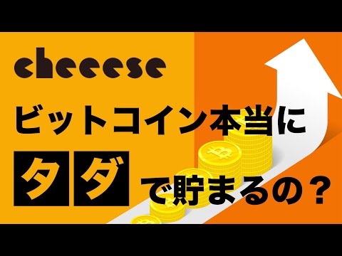 【アプリ検証】本当にタダでビットコインが貯まるの？【cheeese】