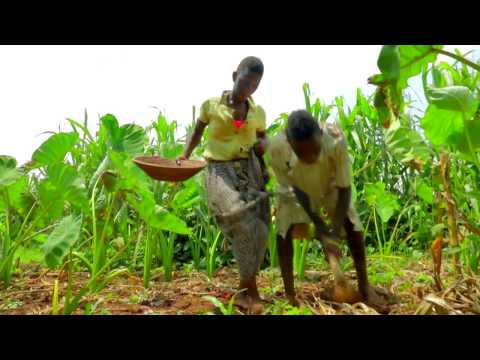 Music Diary dancers dancing farmer by Ykee Benda (Official HD)