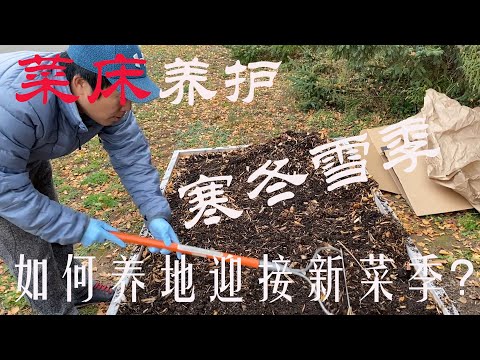 【渔耕笔记】种植床秋冬养护 |  如何做好冬季小菜园养地增肥？