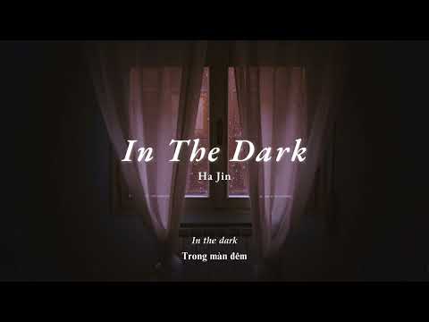 Vietsub | In The Dark - Ha Jin | Lyrics Video