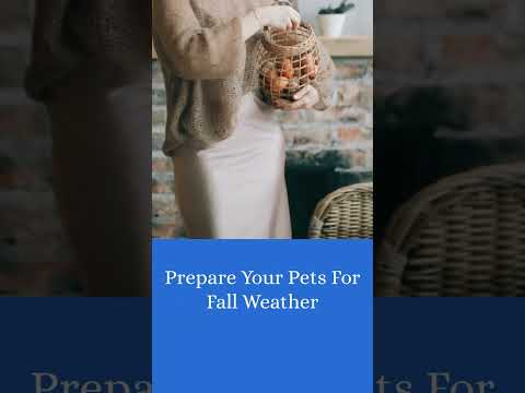 Prepare Your Pets for Fall Weather