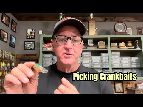 How To Decide On The Right Crankbait To Throw