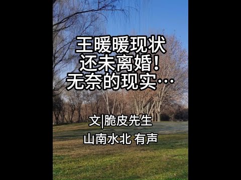 第729集王暖暖现状：还未离婚！2024年最无奈的现实… #情感共鸣 #人生冷暖 #王暖暖 #泰国坠崖孕妇