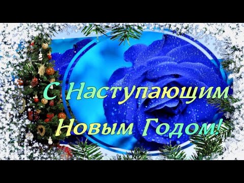 ВСЕМ ЖЕЛАЮ МИРА И ДОБРА!С НАСТУПАЮЩИМ НОВЫМ ГОДОМ!❄️🎄❄️