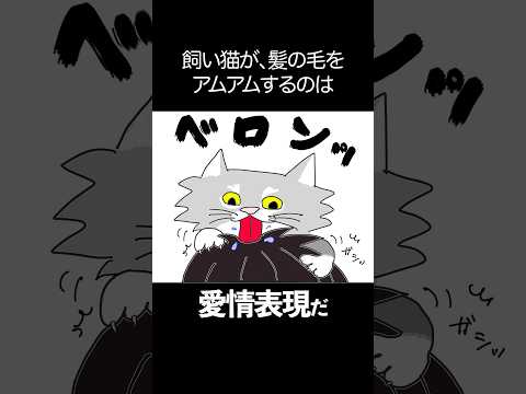 【猫あるある】愛情表現の度合い #shorts