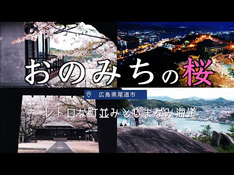 おのみちの桜 レトロな町並みとしまなみ海道