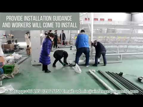 XinFeng automatic chicken farming equipment chicken cage Installation instruction video