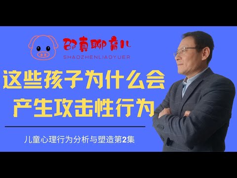 【这些孩子为什么会产生攻击性行为】儿童心理行为分析与行为转变第2集|父母需要培训