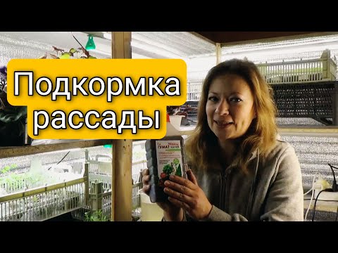 ЧЕМ И КОГДА ПОДКОРМИТЬ РАССАДУ | КАК ПРАВИЛЬНО ВЫБРАТЬ ПОДКОРМКУ