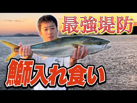 【山口鰤釣り遠征】アジを投げて1分でブリが釣れる本州最強堤防！