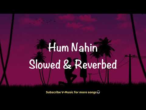 Hum Nahin (Slowed & Reverbed) | Hungama | Akshay Khanna, Rimi Sen & Aftab Shivdasani | V-Music