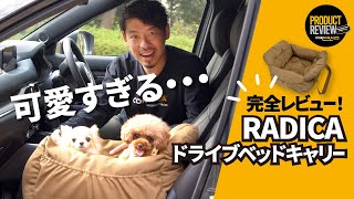 【癒し回】超絶かわいいワンちゃんと一緒に話題のRADICAのドッグベッドをレビューしてみた