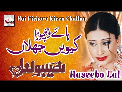 Hai Vichora - Best of Naseebo Lal - HI-TECH MUSIC