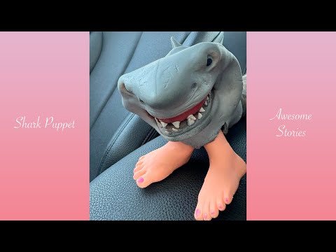 *1 HOUR* of Shark Puppet Shorts Compilation #40 | Shark Puppet Funny Shorts 2024