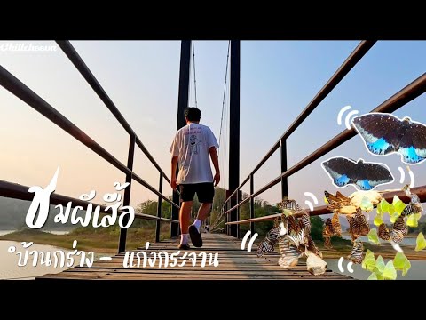 Ep.37 บ้านกร่าง สะพานแขวนแก่งกระจาน | #chillcheeva  #เที่ยวคนเดียว #ชิวชีวา