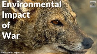 Environmental Impact of War