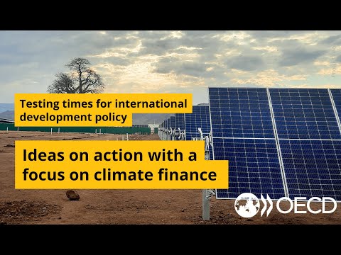 Testing times for international development policy -Ideas for action with a focus on climate finance