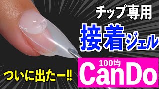 キャンドゥのネイルチップジェル使い方【ネイリストASKA】