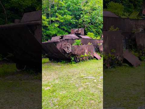 Battle of Peleliu 🪖🪽 ⚓ 🦅🫡 #ww2 #pacificwar #ww2pacificwar #peleliu #tanks