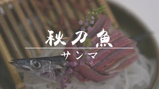 【秋刀魚】刺身料理分享 • 切魚示範（中文字幕）