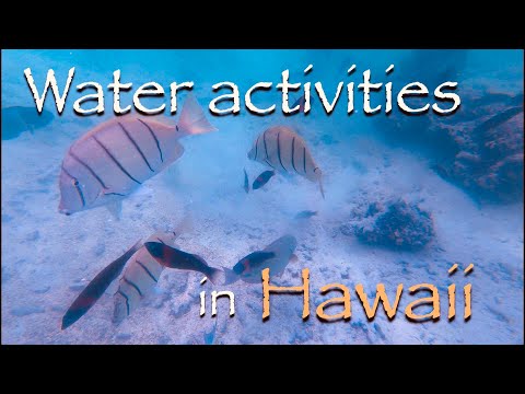 【ハワイ旅行】念願のサンドバーツアー！Water activities in Hawaii （short video）