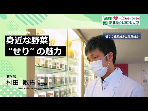 【Radio×YouTube】教えて！東北医科薬科大学 「身近な野菜 “せり” の魅力」