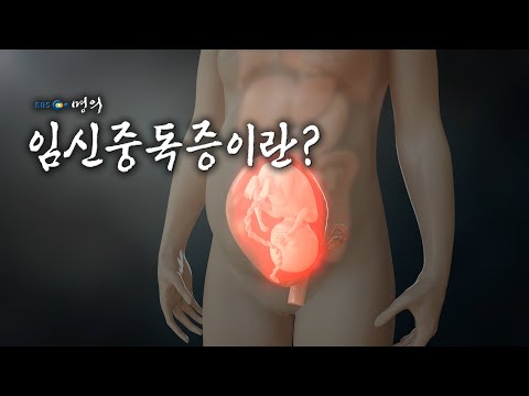 [명의 의학백과📖] 임신중독증이란?